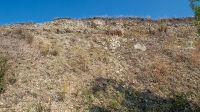 Бакский овраг