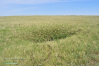 Кзыладырское карстовое поле. Май 2013 года