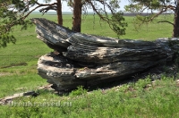 Карагайский бор и ущелье на реке Губерле