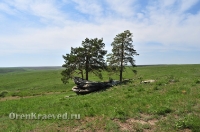 «Парусник» Карагайский бор и ущелье на реке Губерле