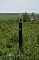 Карагайский бор и ущелье на реке Губерле