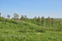 Карагайский бор и ущелье на реке Губерле