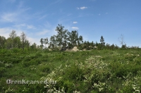 Карагайский бор и ущелье на реке Губерле