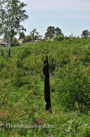 Карагайский бор и ущелье на реке Губерле