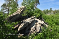 Карагайский бор и ущелье на реке Губерле