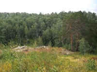 Карагайский бор и ущелье на реке Губерле