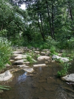 Карагайский бор и ущелье на реке Губерле