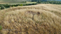 Гора Самбула