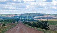 Барский лес