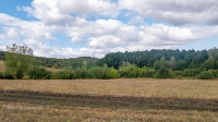 Барский лес