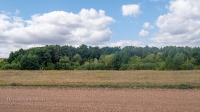 Барский лес
