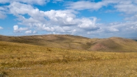 Козьи Горы