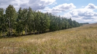 Козьи Горы