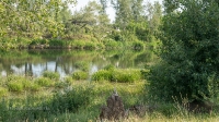 Урочище Красногоры