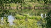 Урочище Красногоры