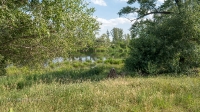 Урочище Красногоры