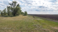 Урочище Красногоры