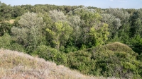 Урочище Красногоры