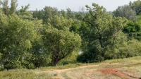 Урочище Красногоры