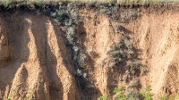 Урочище Красногоры