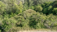 Урочище Красногоры