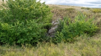 Карстовое поле Печоры
