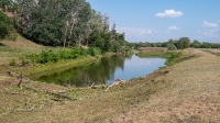 Биктимировские (Ташлыкульские горы). Июль 2021 года
