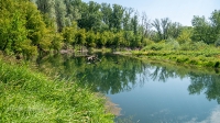 В районе затона Граневой старицы. Июль 2021 года