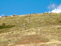 Гора Сарыкташ («Каменные овцы»)