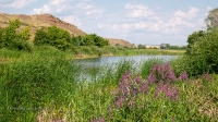 Саракташский район