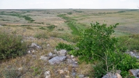 Гора Змеиная (Кумыс-Тюбе). Июнь 2021 года