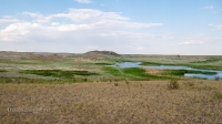 Гора Змеиная (Кумыс-Тюбе). Июнь 2021 года