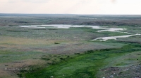 Гора Змеиная (Кумыс-Тюбе). Июнь 2021 года