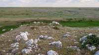 Гора Змеиная (Кумыс-Тюбе). Июнь 2021 года