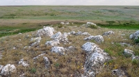 Гора Змеиная (Кумыс-Тюбе). Июнь 2021 года
