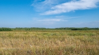 Карабутакские лески