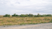 Адамовский степной вишарник