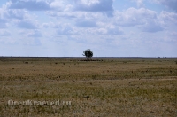 Родник Ащельсай (Аслисай). Июль 2012 года