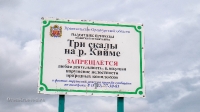 Адамовский район