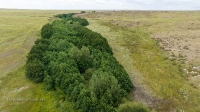 Три скалы на Кийме. Июль 2022 года