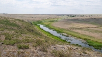 Гора Змеиная (у с. Энбекши). Июнь 2021 года