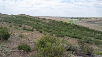 Гора Змеиная (у с. Энбекши). Июнь 2021 года
