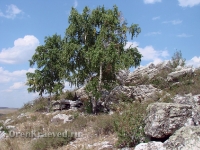 Большая Белая Шишка (Осетинская Шишка)