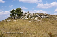 Большая Белая Шишка (Осетинская Шишка)