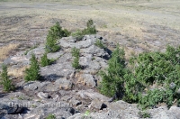 Карабутакский гранитный массив (скалы Шонкал). Июль 2012 года