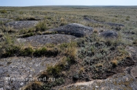 Карабутакский гранитный массив (скалы Шонкал). Июль 2012 года