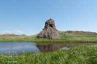 Подстепинская скала. Июнь 2015 года
