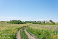 Белоглинские колки. Июнь 2023 года