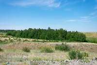 Белоглинские колки