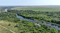 Орский тополевник. Май 2023 года